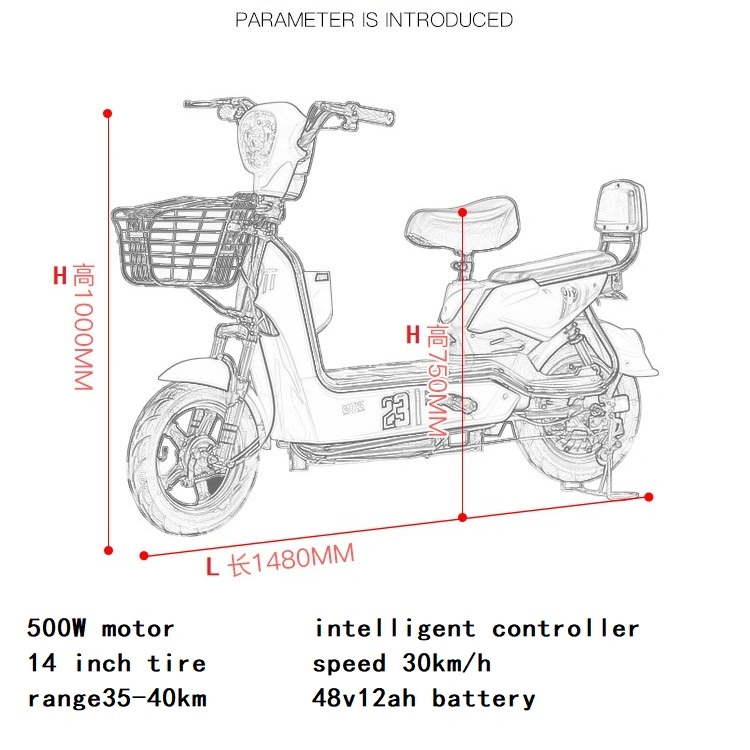 Two Wheel Big Power Electric Bicycle 48V Voltage Adult E Bike Electric Scooter 500W