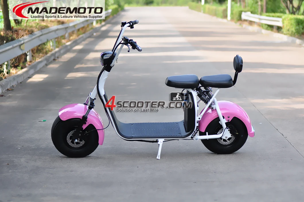 1500W 2000W 3000W Long Range 60 Volt Two Wheels Trotinette Electric Scooter