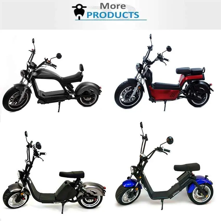 Super Power Removable Lithium Battery EEC Approval European Export Pony Model