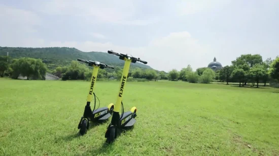 高品質でスタイリッシュな黒黄色の折りたたみ式電動スクーター (速度 29km)